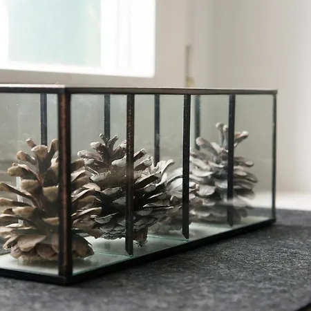 Zum-goldenen-schaf Apartman *