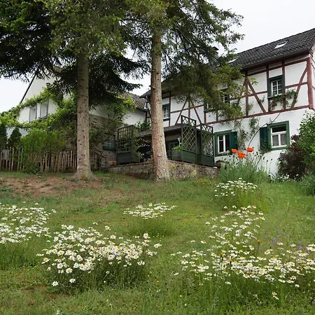Daire Zum-goldenen-schaf Blankenheim (North Rhine-Westphalia)