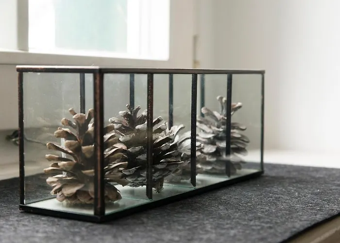 Zum-goldenen-schaf شقة *