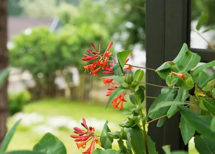 شقة Zum-goldenen-schaf بلانكينهييم